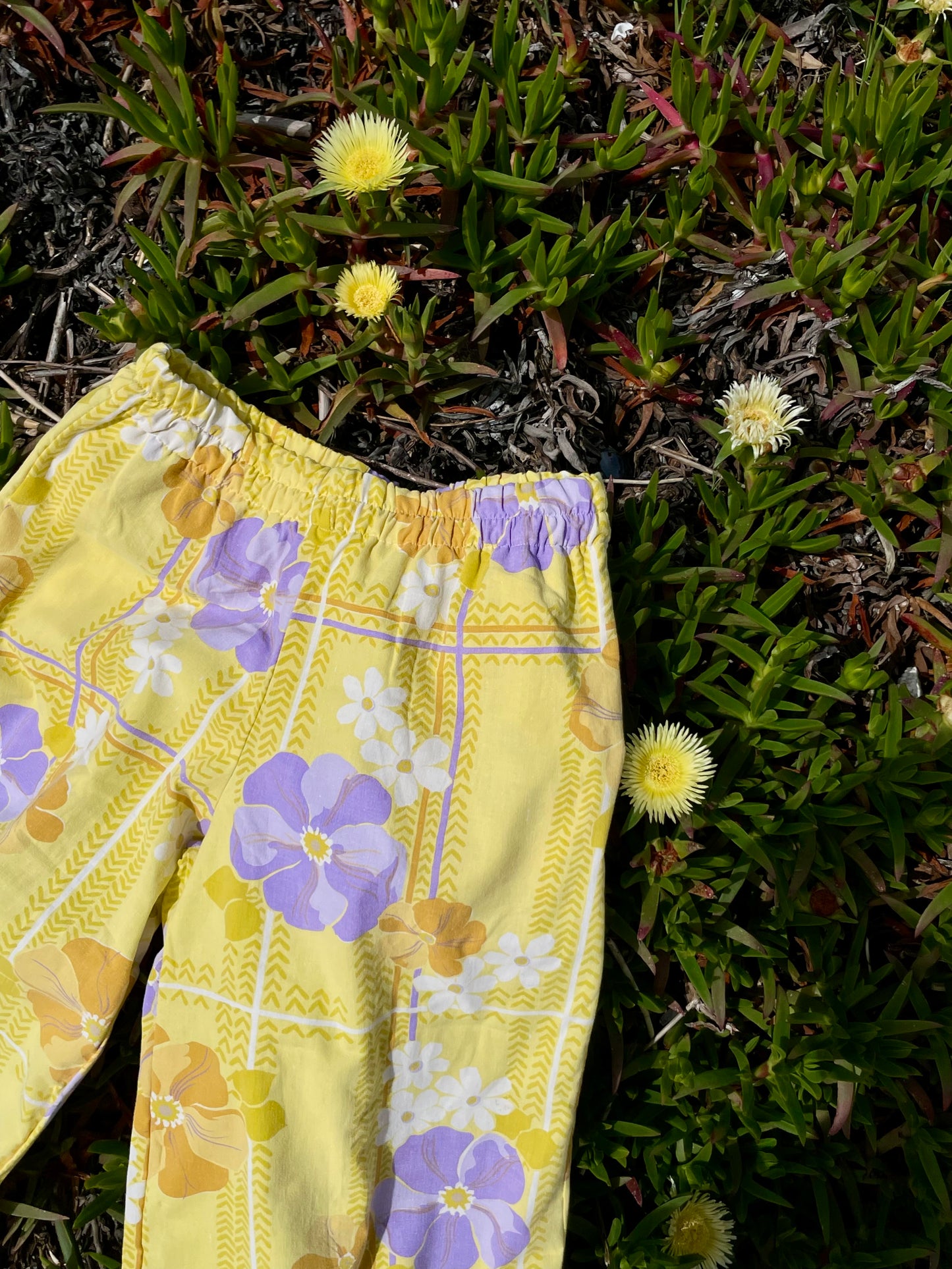 Pants buttery field